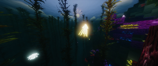 Jellyfish
