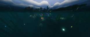 Reef and island