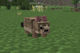Captura de pantalla 2026-10-11 220511.png