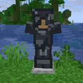 Deepslate Armor
