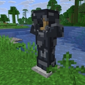 Deepslate Armor (side)