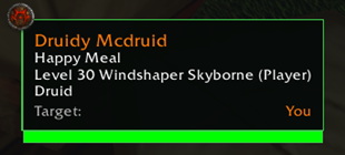 Player Tooltip (Proto Green)