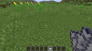 Bonemeal particles