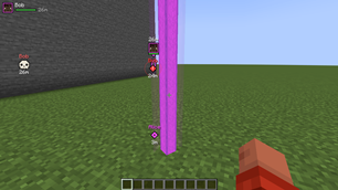 03-pingler.png