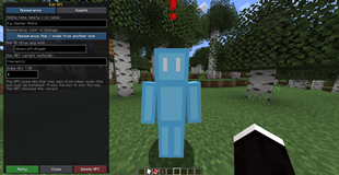 NPC appearance editor