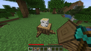image-attachment_53909fc9-fe08-41df-ba85-b34784b67169.png