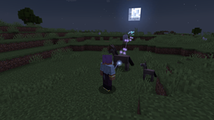 Fireflies at night