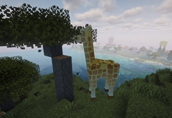 image-attachment_bf2ecef4-3d9e-46ab-b151-941c4399ca07.jpg