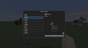 Donkey