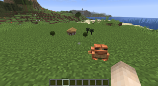 Tiny house.png