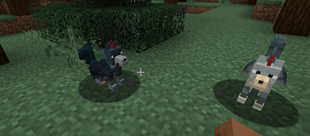 chicken-wolf.png