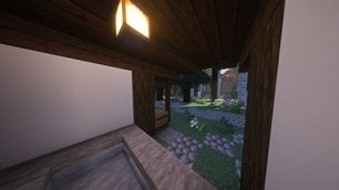 Warm light and forest views