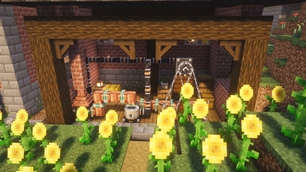 Oil from Sunflowers