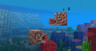 Nautilus.png