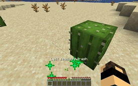 Now the desert can just have it's natural look again!