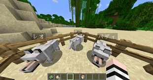Named wolves