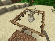 Special name: Dinnerbone