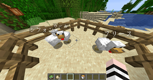 Named chickens