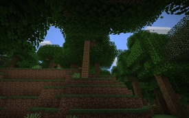 Keep an eye out for those secret ladders! Might come in useful early game.