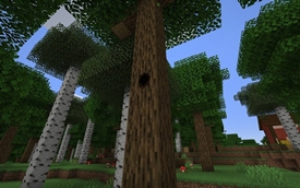 Woodpeckers do make some holes.