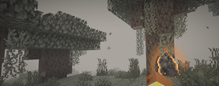 An Island in the Rootway