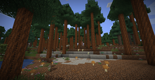 Wildflourish (2).png