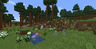 Wildflourish (3).png