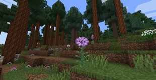 Wildflourish 1.png