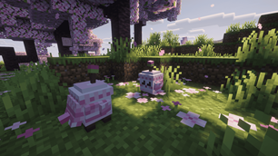 image-attachment_71b000fa-91b2-4617-98aa-19b28257ef1a.png
