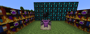 dragon_head.png