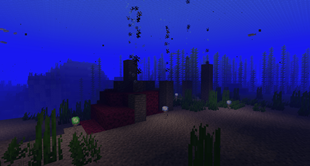 Ventilation in the Ocean
