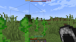 06_random_item_hotbar.png