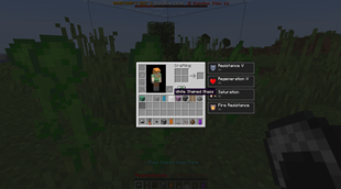 06_random_items.png