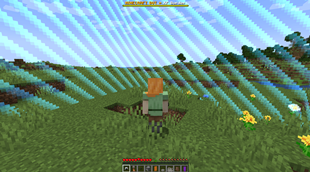 10_xp_border.png