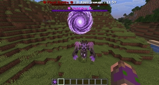 Gateway of Doom - Voidwing Boss Battle