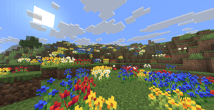 plains flowers