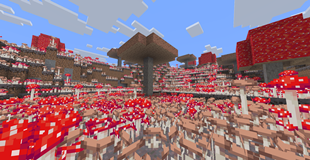 lots of shrooms