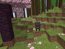 Image20261015172147.png