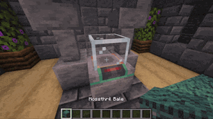 Separator.gif