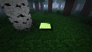 Grass?