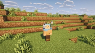 tame_4