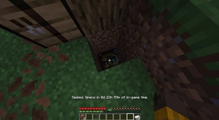5-buried-capsule.jpg