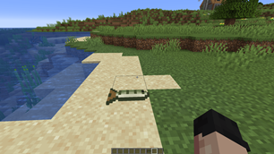 MedalTVMinecraft20261016042629563.png