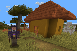 vagabundo.png