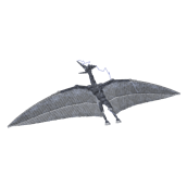 vortakar.png