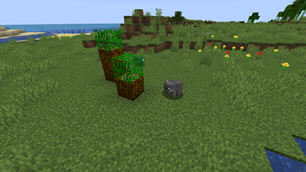 image-attachment_4eaf43a1-3646-4a41-b4fd-f8e8fb697bce.png