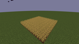 Healthy Crops