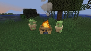 5-campfire.jpg