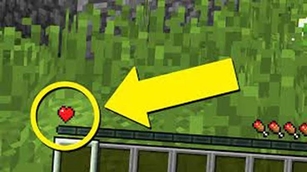 Mod.jpg