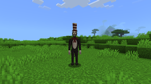 Cat in the hat